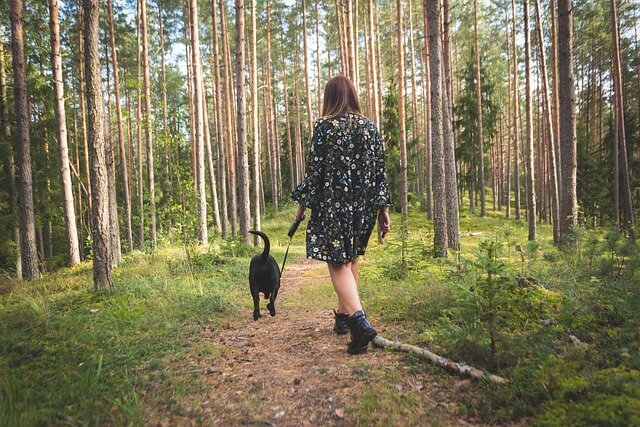 Nainen ja koira metsässä